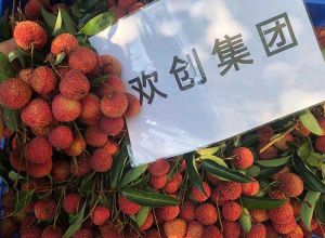 夏日好“枝”味，买滚球集团官网买滚球集团官网买滚球集团官网买滚球集团官网首页-买滚球(中国)-买滚球(中国)
集团发福“荔”啦